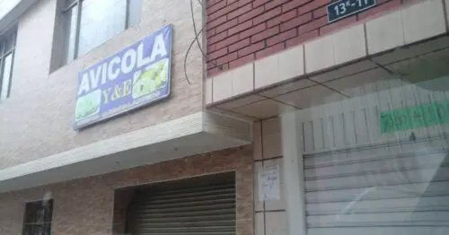 AVICOLA Y Y E BOGOTÁ AVICOLA Y Y E BOGOTÁ